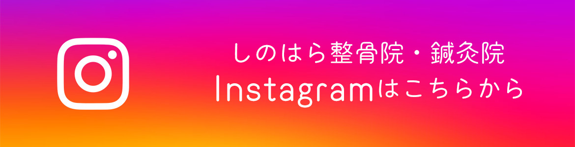 Instagramはこちらから